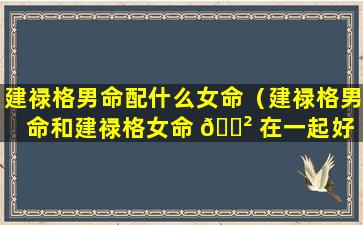 建禄格男命配什么女命（建禄格男命和建禄格女命 🌲 在一起好 🦄 不好）